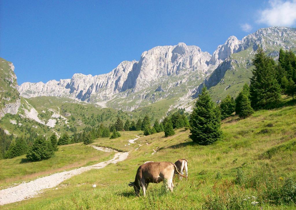 Eurohotel Mountain Wellness Castione della Presolana Exterior foto